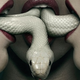 Image for article titled This Week's TV: American Horror Story, Walking Dead, and 7 More Shows!